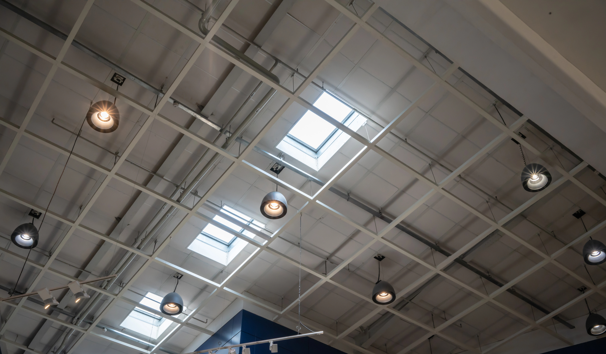 Industrial ceiling with grid framework, expertly installed by a skilled electrician, featuring hanging light fixtures and several skylights letting in natural light.